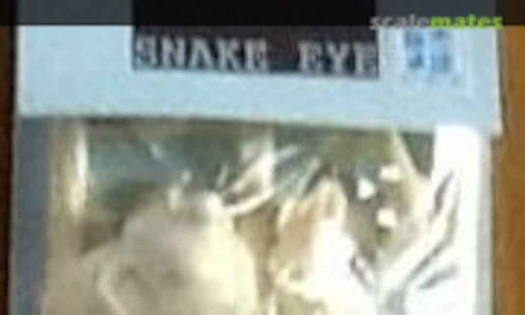1:35 SNAKE EYE (D3 Works Ma.K. 09)