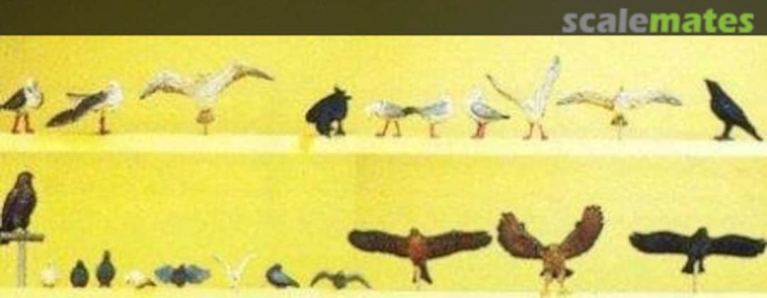 Boxart Pigeons, Seagulls, Crows & Birds of Prey 10169 Preiser