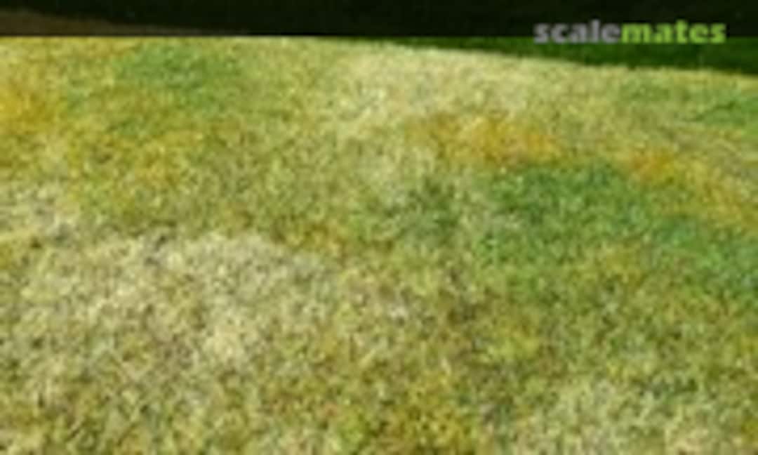 No Cut Meadow - Late summer (Model Scene F003) F003