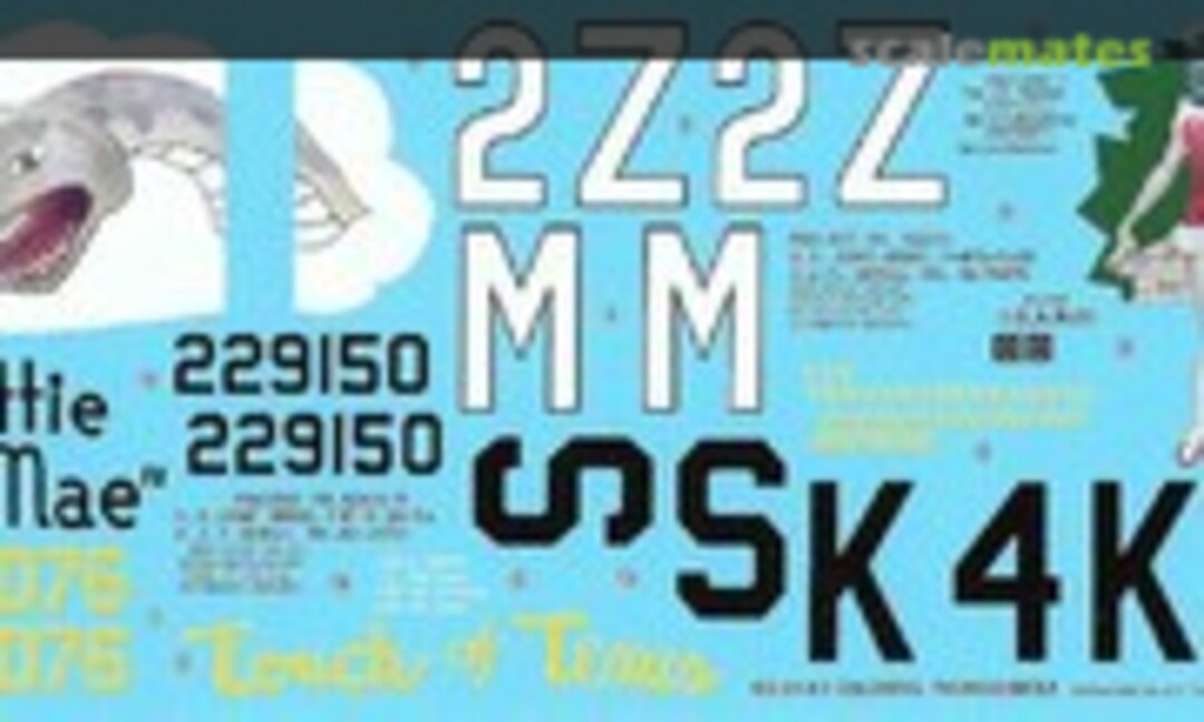 1:24 Republic P-47D Colorful Thunderbolts (Berna Decals BD 24-03) BD 24-03