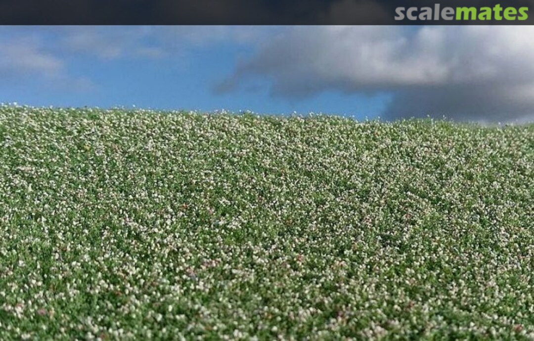 Boxart Blooming poppy field F460 Model Scene Boxart Blooming poppy field F460 Model Scene