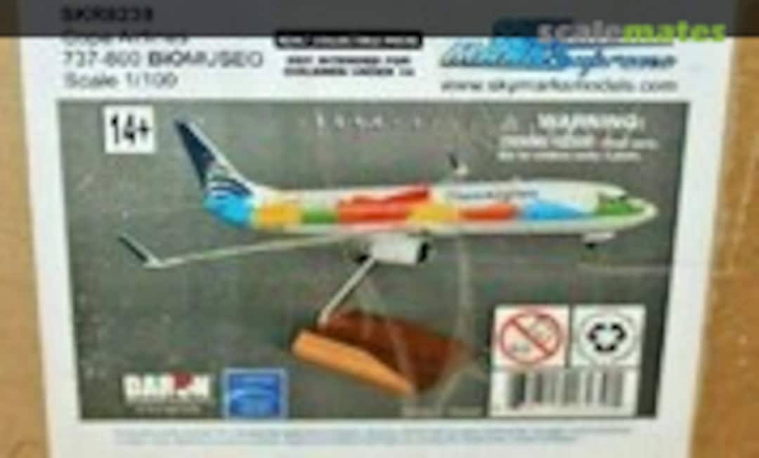 1:100 Boeing 737-800 (Sky Marks SKR8239)