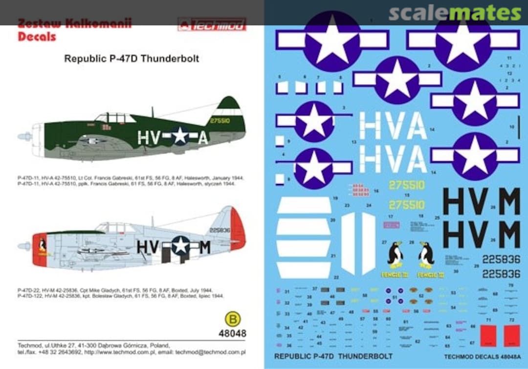 Boxart Republic P-47D Thunderbolt 48048 Techmod