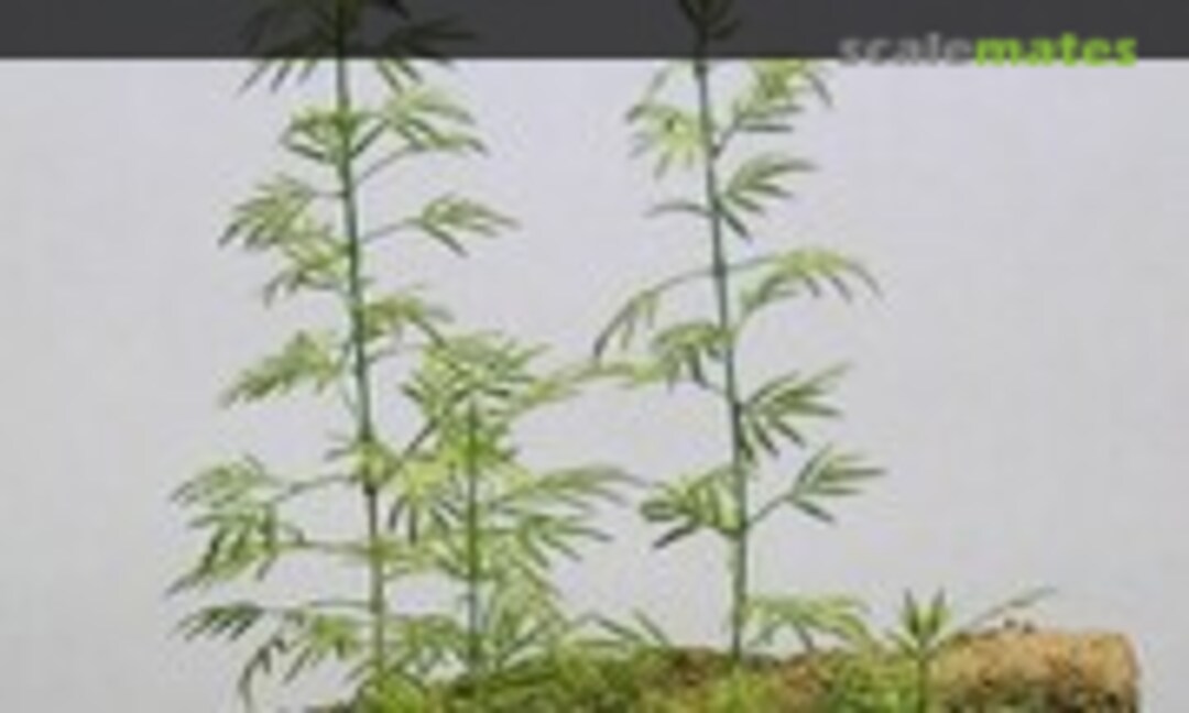 1:35 Female Bamboo (Medake) (Kamizukuri A-19) A-19