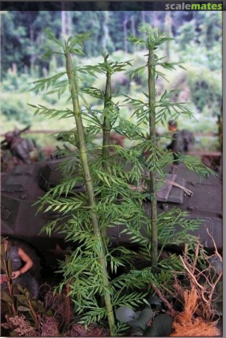 Boxart Bamboo <Chamoise> GL-068-CHA Fredericus-Rex Boxart Bamboo <Chamoise> GL-068-CHA Fredericus-Rex