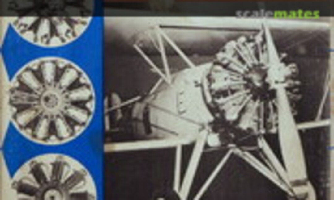 1:8 Wasp Junior (Williams Brothers 307)