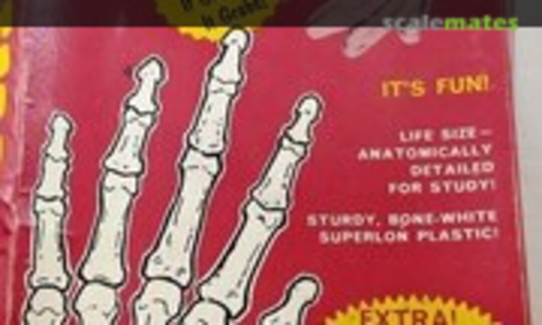 1:1 Grasping Hand (Superior Plastics Inc. )