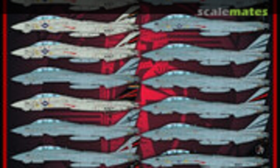 1:48 Colors And Markings of US Navy Tomcats (Furball Aero-Design F/D&S-4814) F/D&S-4814