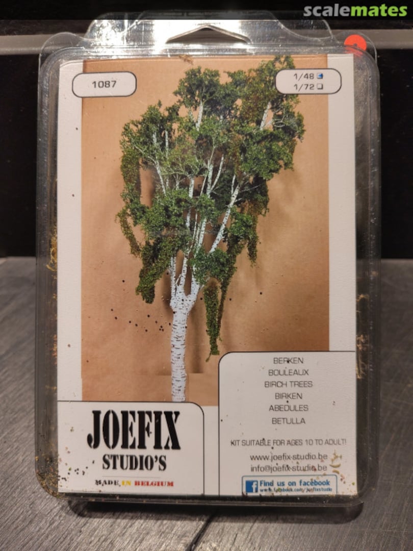 Boxart Birch trees 1087 JoeFix Studio's Boxart Birch trees 1087 JoeFix Studio's