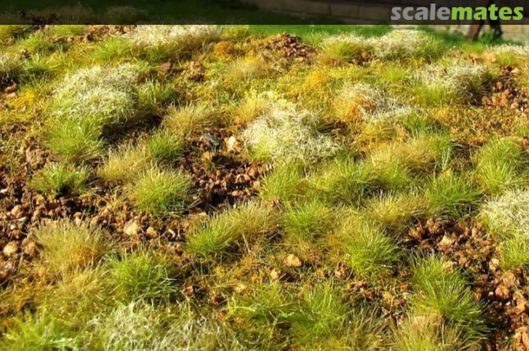 Boxart Stony steppe, late summer MINIPACK F534-S Model Scene Boxart Stony steppe, late summer MINIPACK F534-S Model Scene