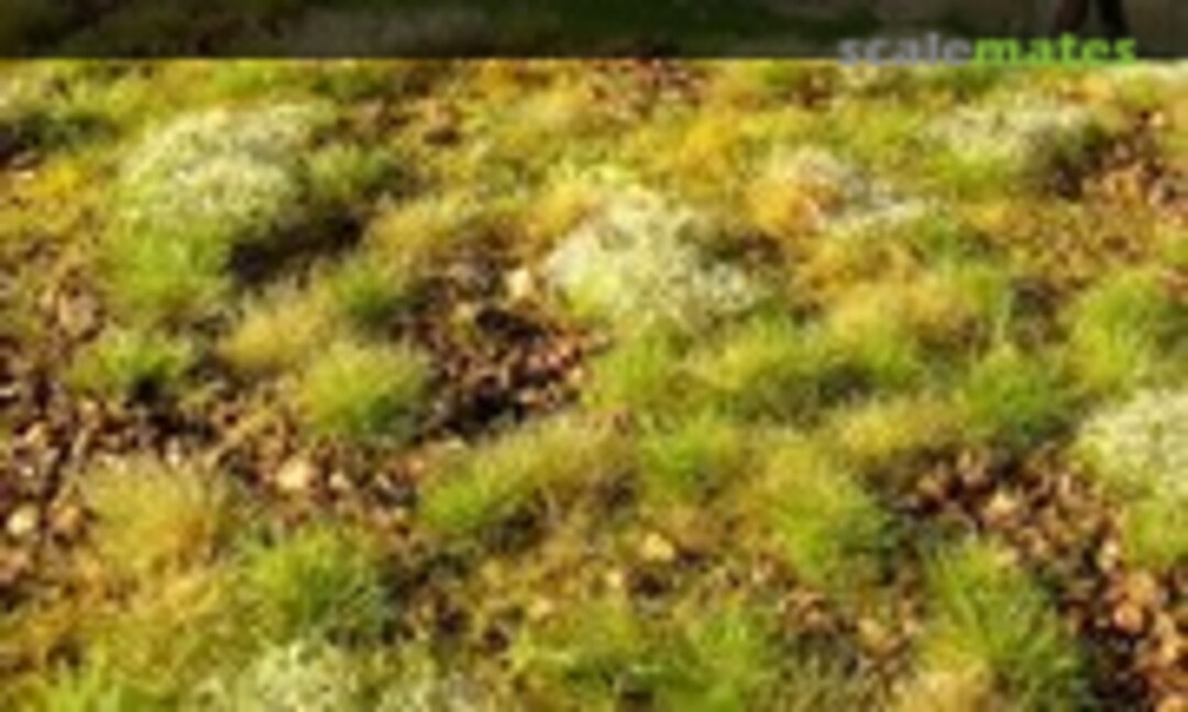 No Stony steppe, late summer MINIPACK (Model Scene F534-S)