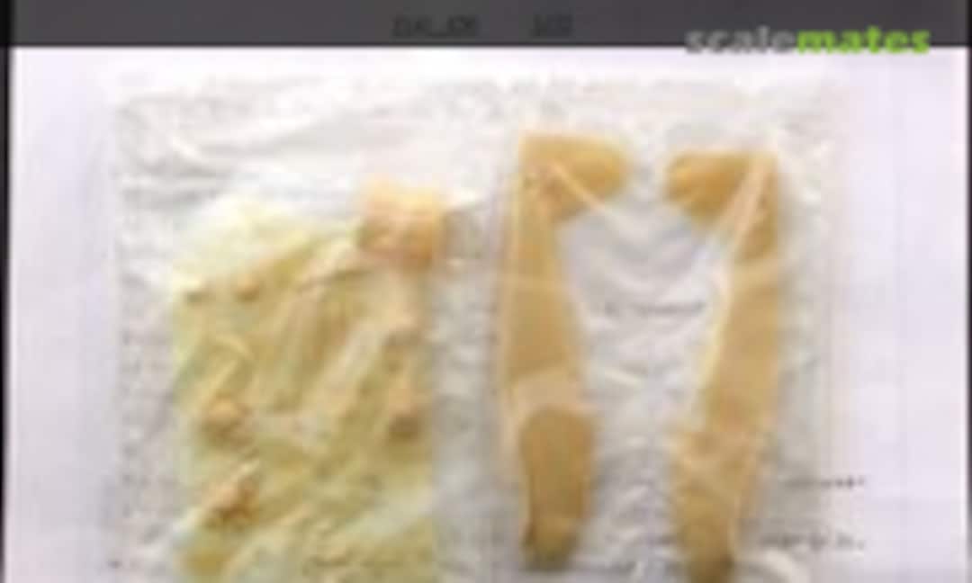 1:72 Fiat G.50 Preserie (Dujin DC7210) DC7210