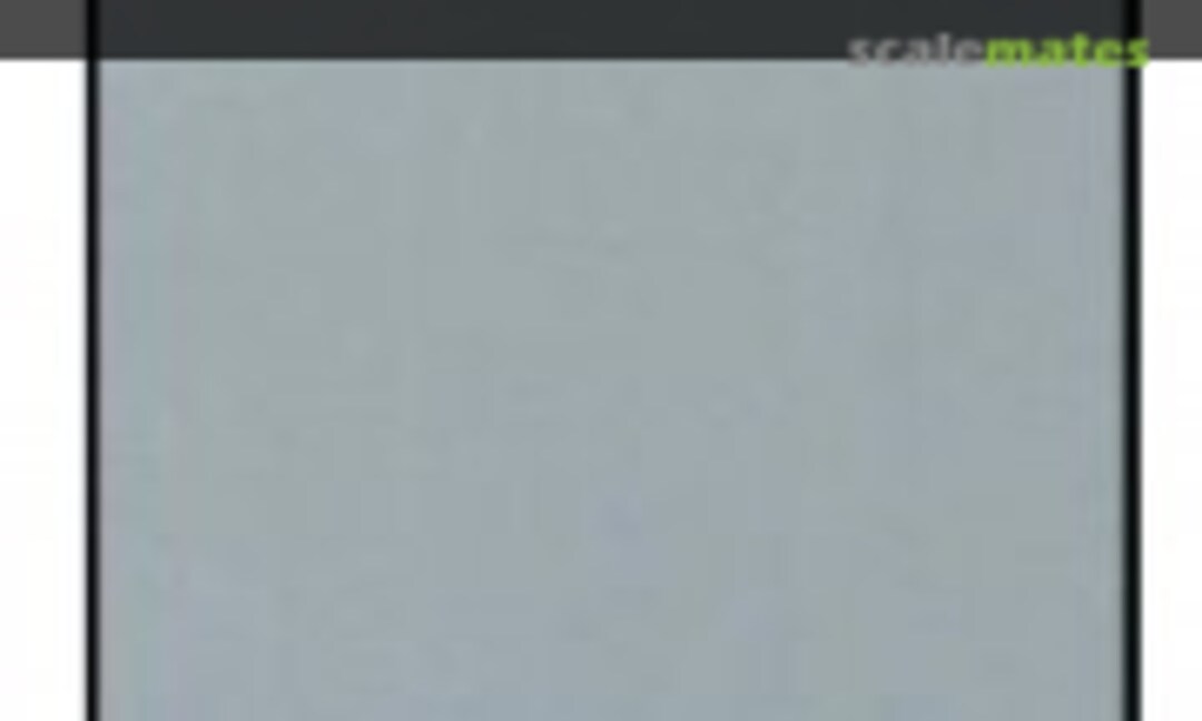 No Silver Carbon Finish 12 (Hasegawa TF19) TF19