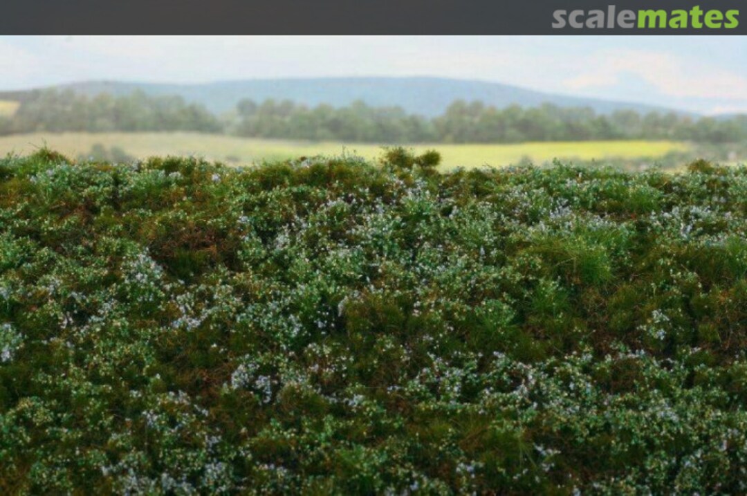 Boxart Blueberries MINIPACK F620-S Model Scene Boxart Blueberries MINIPACK F620-S Model Scene