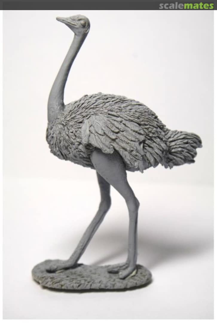 Boxart Ostrich CixM54015 Cix Models Boxart Ostrich CixM54015 Cix Models