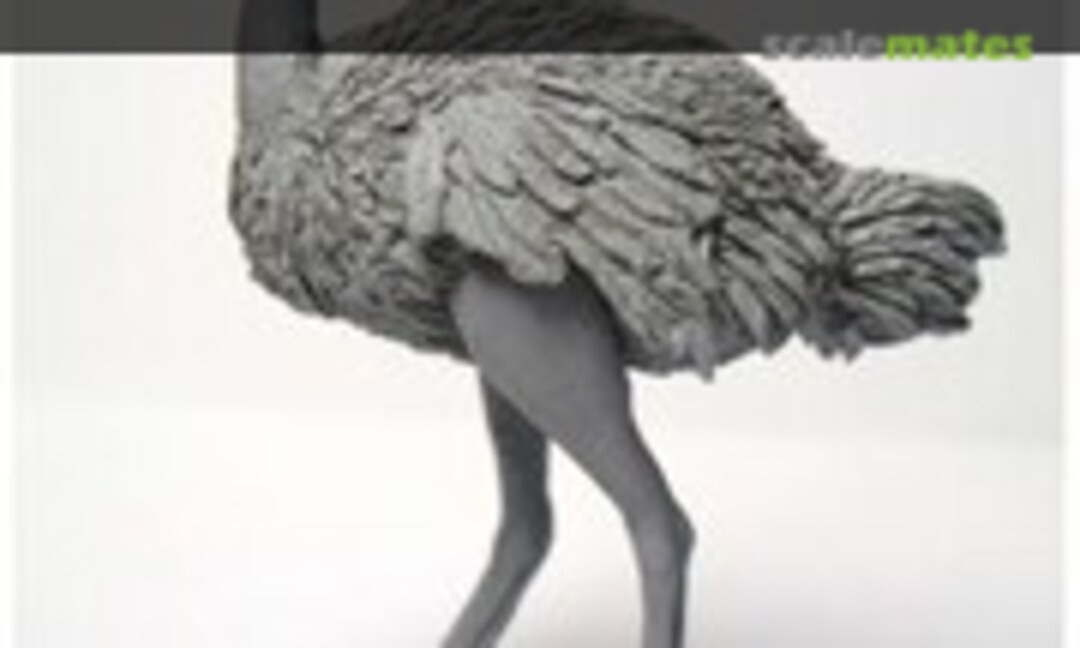 1:35 Ostrich (Cix Models CixM54015) CixM54015