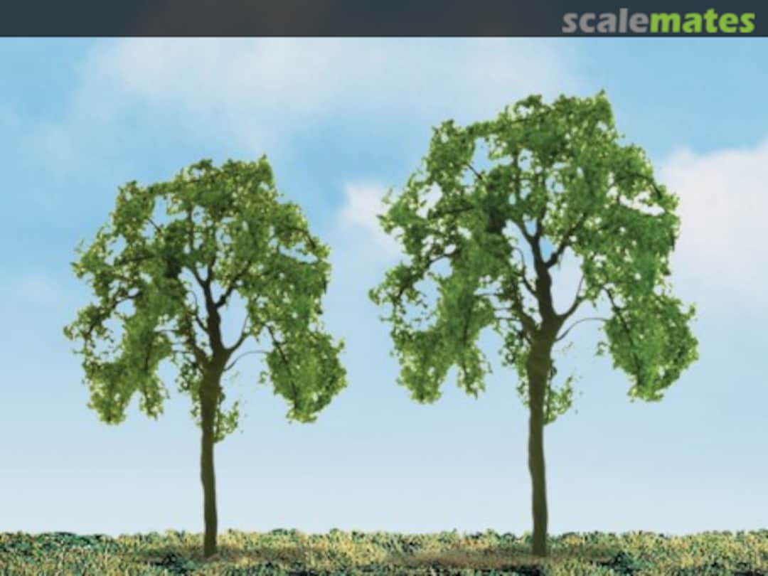 Boxart Ash Tree 94422 JTT Scenery Products Boxart Ash Tree 94422 JTT Scenery Products