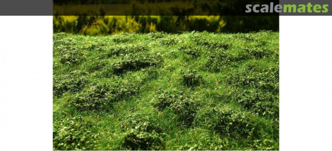 Boxart Low bushes - Early summer F502 Model Scene Boxart Low bushes - Early summer F502 Model Scene