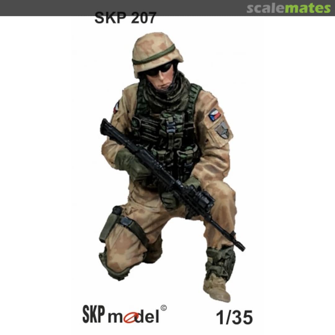 Boxart Logar Gate Guard SKP 207 SKP model Boxart Logar Gate Guard SKP 207 SKP model