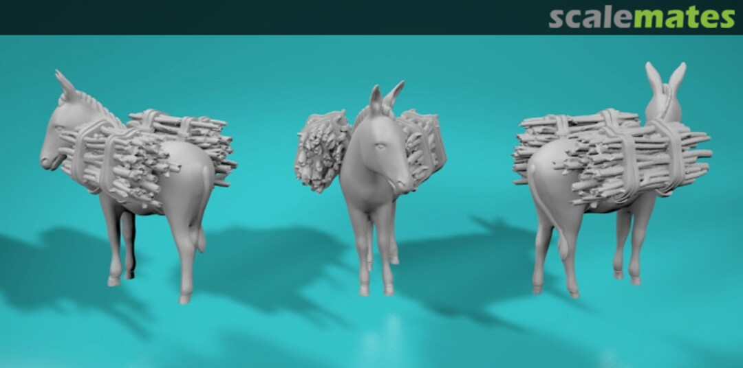 Boxart Arabian Donkey and Brushwood 99204673-48 EMP3d Boxart Arabian Donkey and Brushwood 99204673-48 EMP3d