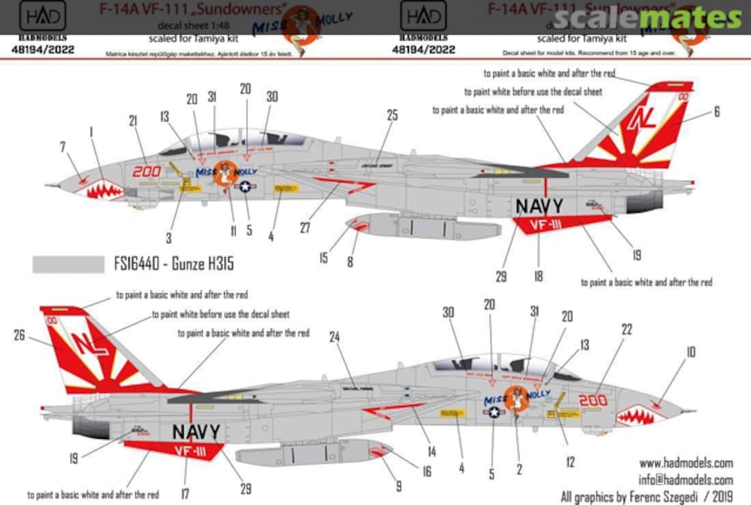 Boxart F-14A Tomcat VF-111 "Sundowners" 48194 HADmodels Boxart F-14A Tomcat VF-111 "Sundowners" 48194 HADmodels