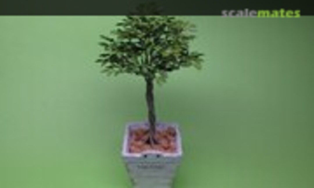 1:12 Ficus Benjamina Leaves & Vines (Kamizukuri G-42) G-42