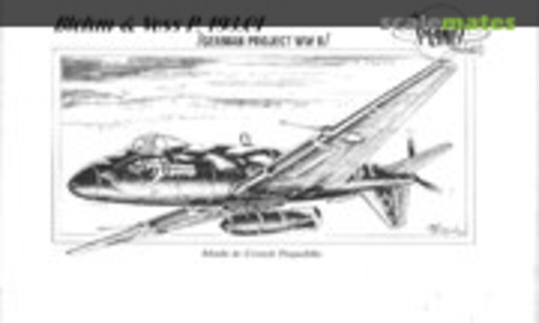 1:72 Blohm & Voss BV P.193.01 (Planet Models PLT030) PLT030