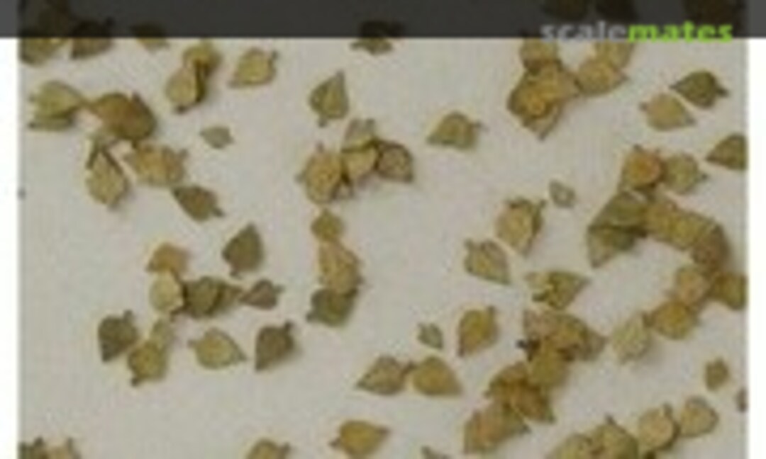 1:35 Birke - 3 Farben/ Birch 3 colours (Model Scene L3-504) L3-504