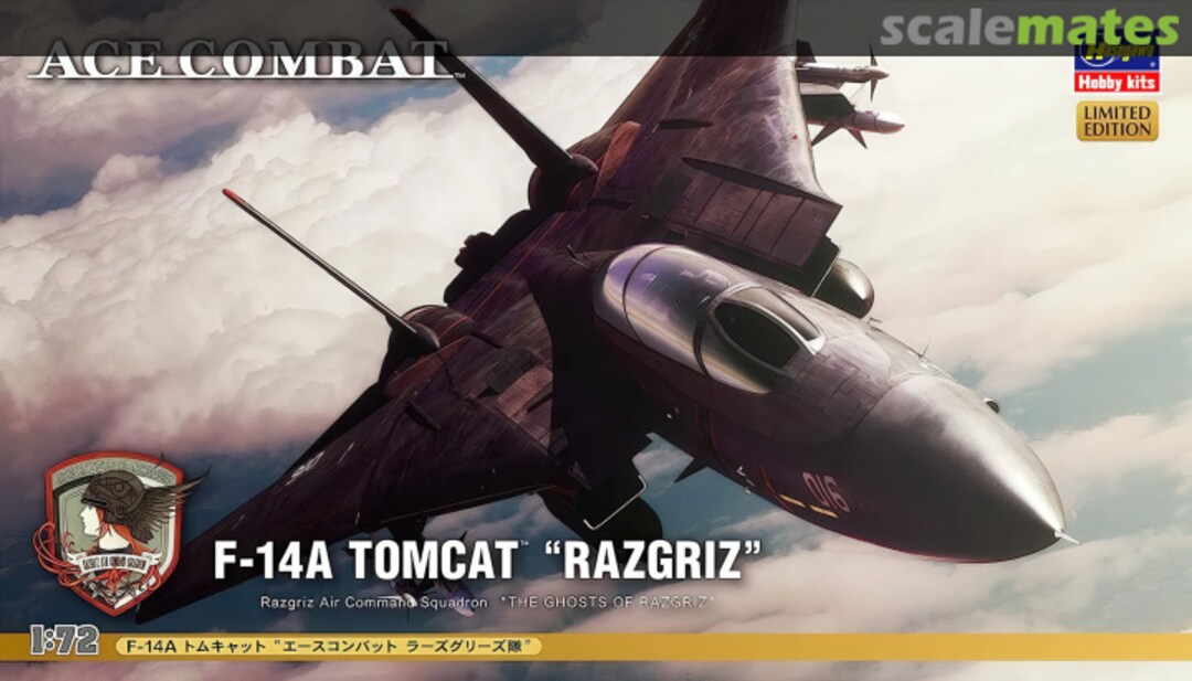 Boxart F-14A Tomcat 52113 Hasegawa Boxart F-14A Tomcat 52113 Hasegawa