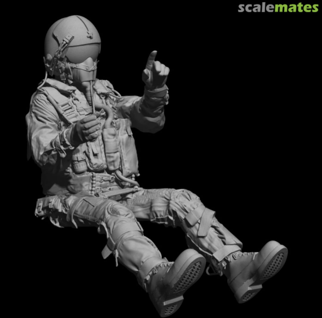 Boxart US Navy RIO, 1969-late 70s era with APH-6A and additional boom mic, sitting 10, visor down 480304 Reedoak