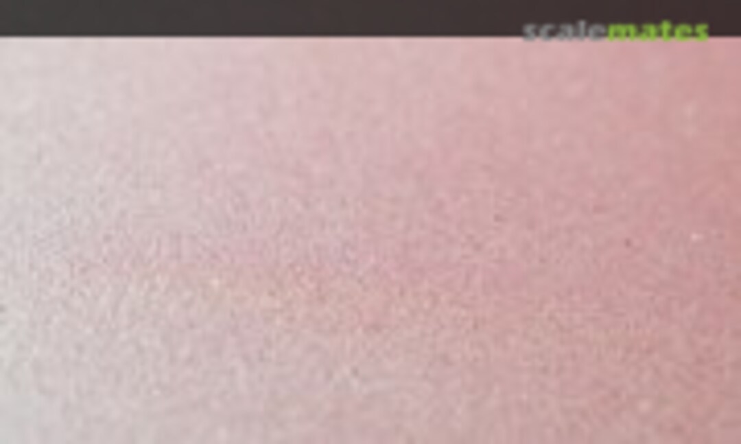 No Anti Slip Coat, fine (Perfect Scale Modellbau DIV012) DIV012