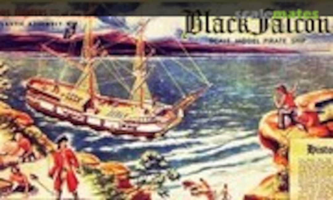 1:100 Black Falcon (Aurora 210)