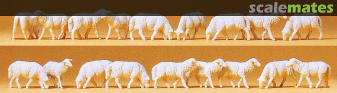 Boxart Sheep 14161 Preiser Boxart Sheep 14161 Preiser