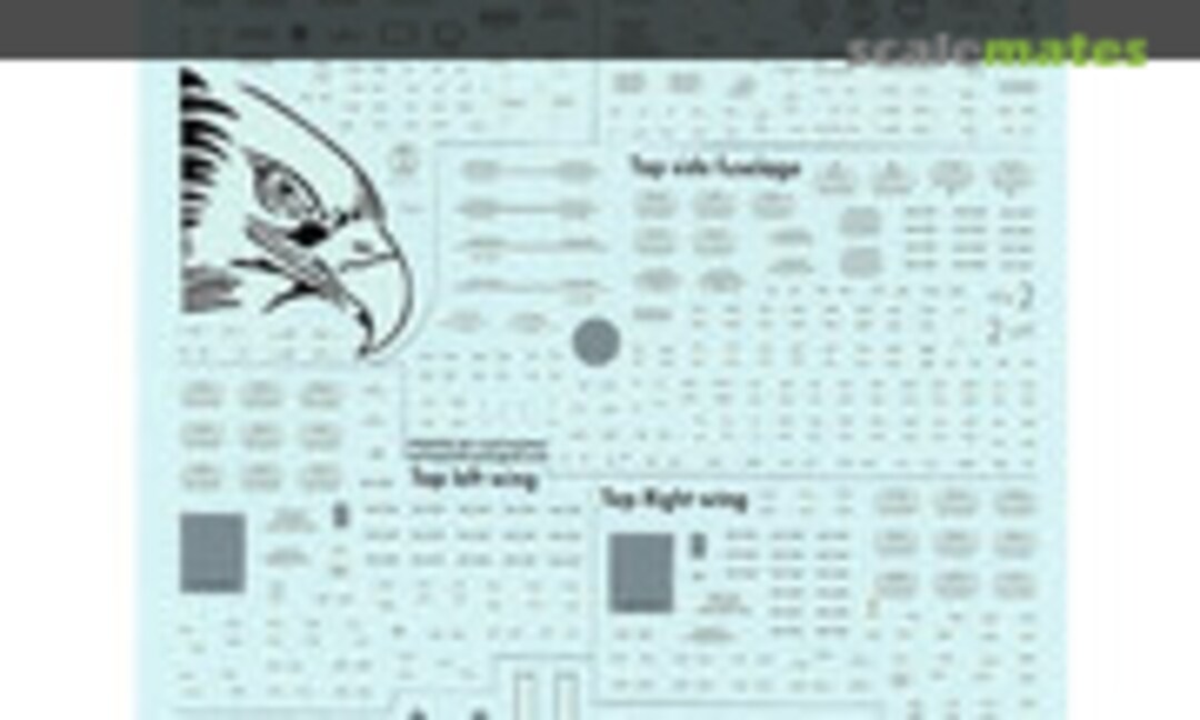 1:32 Israeli AF F-15I (IsraDecal Studio IAF-19) IAF-19