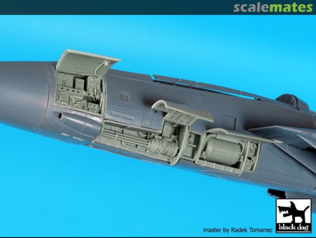 Boxart F-14D Left Electronics + Canon A48100 Black Dog Boxart F-14D Left Electronics + Canon A48100 Black Dog