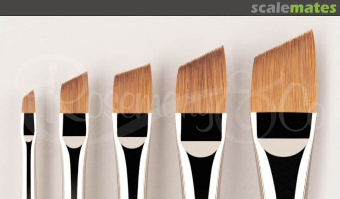 Boxart RedDot-Angular-1/8"-SH 1/8 Rosemary & Co Boxart RedDot-Angular-1/8"-SH 1/8 Rosemary & Co