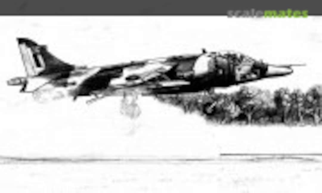 1:24 RAF BAe Harrier GR.3 Detail Set 1:24 (Flightpath FP-24-003)