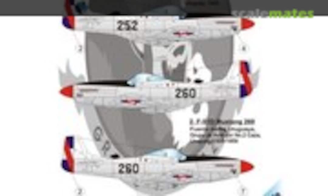 1:48 North-American F-51 Mustangs over Uruguay P-51D (LF Models C4853) C4853