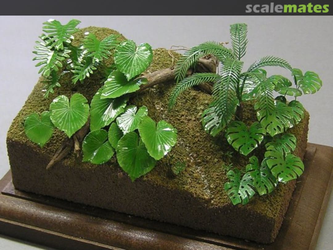 Boxart Jungle A A-22-A Kamizukuri Boxart Jungle A A-22-A Kamizukuri