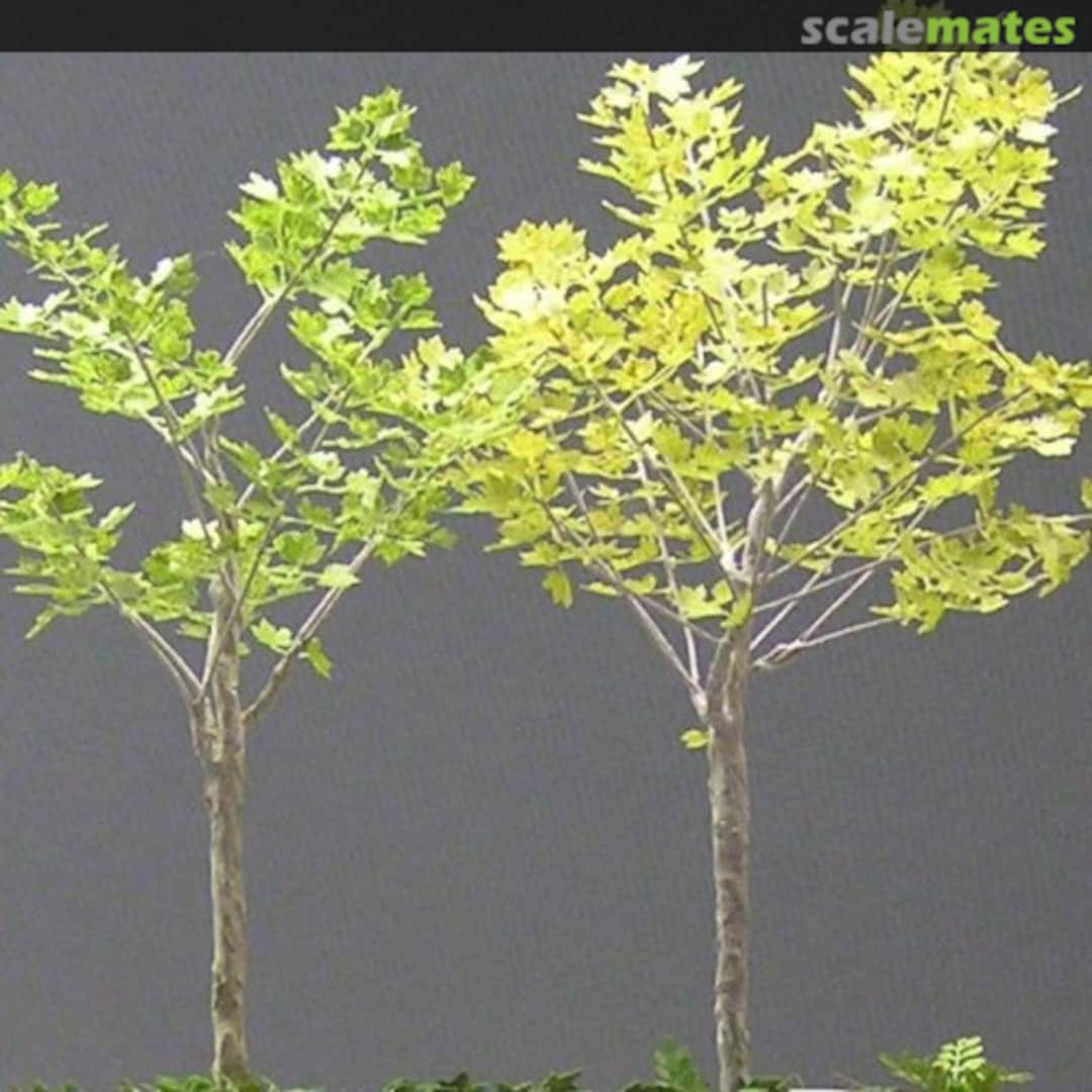 Boxart Plane Tree Leaves A-23-T Kamizukuri Boxart Plane Tree Leaves A-23-T Kamizukuri