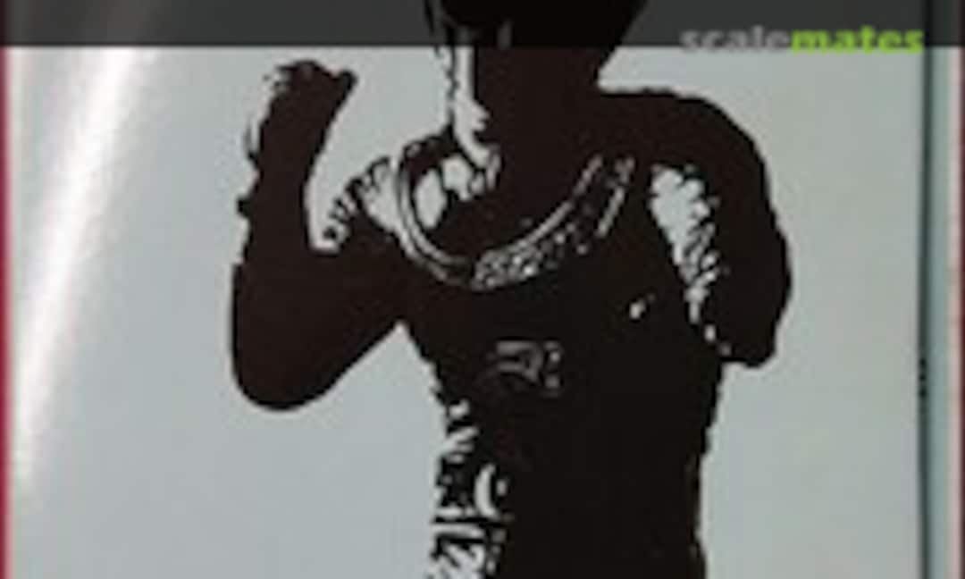 1:8 Kikaider (Kaiyodo 11) 11