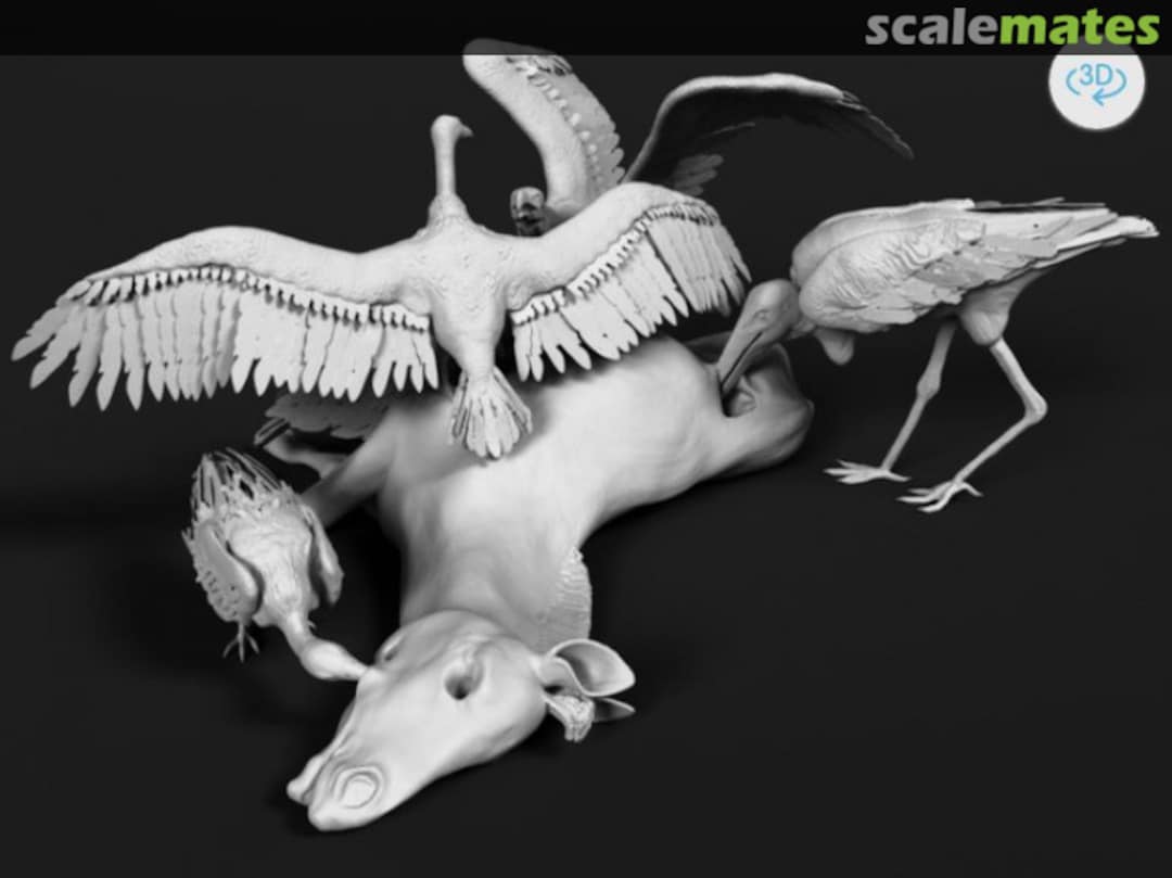 Boxart Plains zebra carcass with scavengers 5814219 miniNature Boxart Plains zebra carcass with scavengers 5814219 miniNature