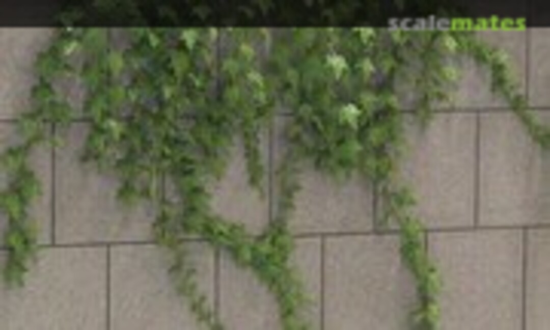 1:35 Ivy (Kamizukuri A-24) A-24