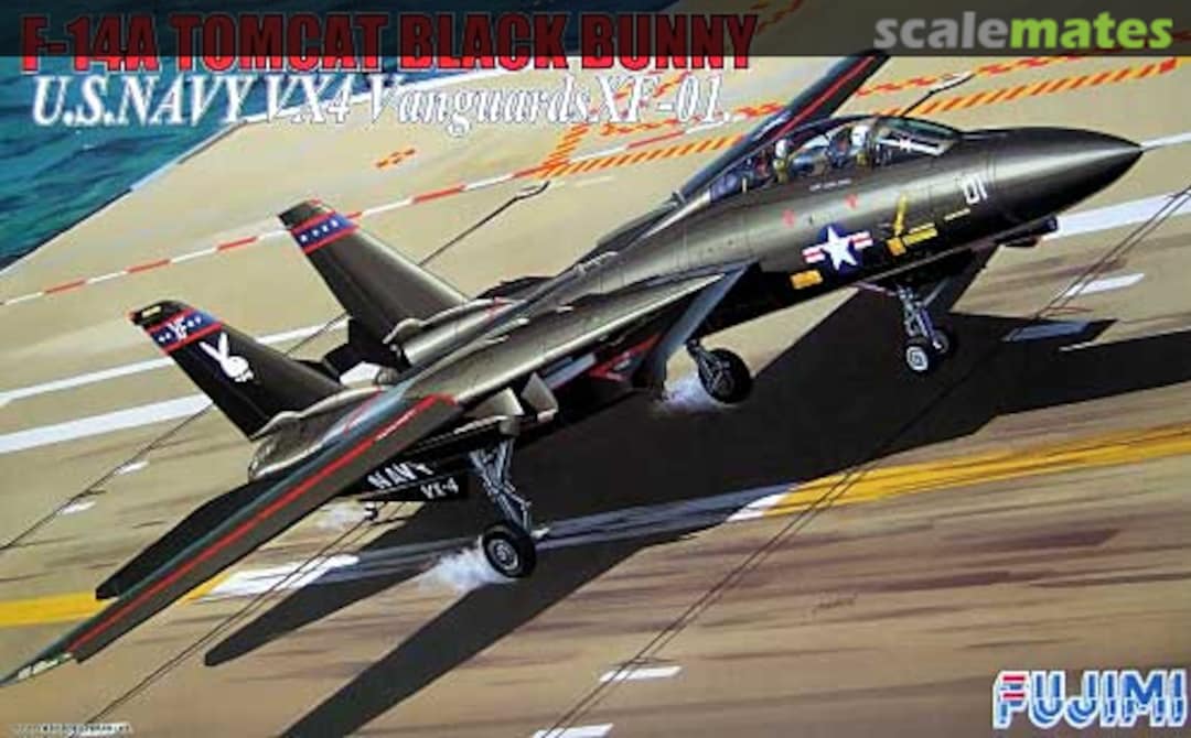 Boxart F-14A Tomcat Black Bunny 33009 Fujimi