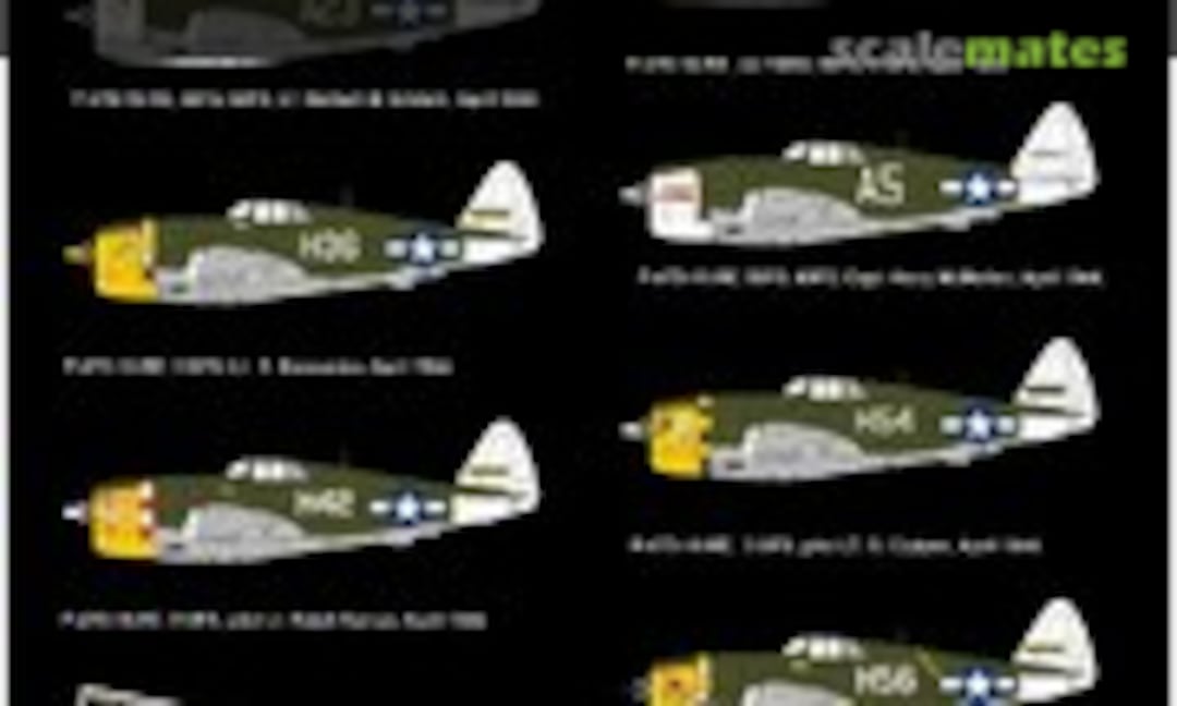 1:32 P-47D - 58TH OVER NEW GUINEA (HGW Models 233918) 233918