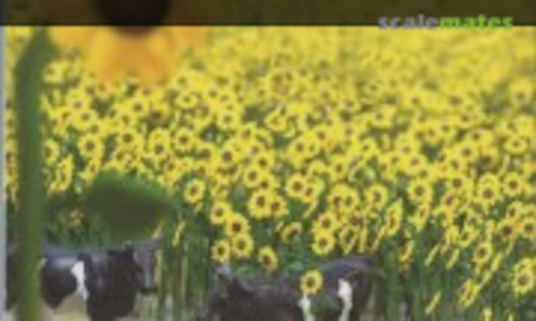 1:87 Sunflowers (Busch 6003) 6003