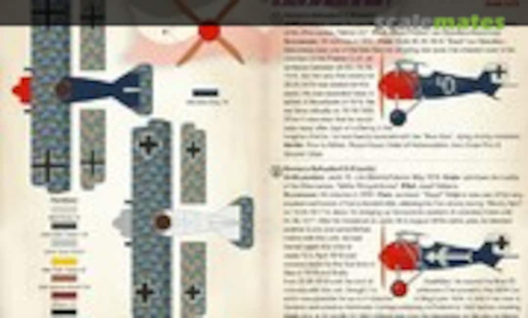 1:72 Siemens-Schuckert D.III/D.IV (Print Scale 72-264) 72-264