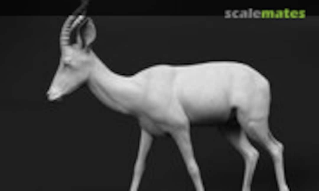 1:35 Impala walking male (miniNature 5814224) 5814224