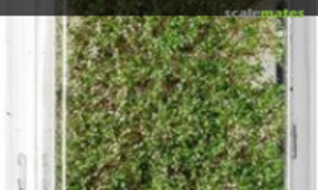 1:35 Blomming White (AK Interactive AK 8174) AK 8174