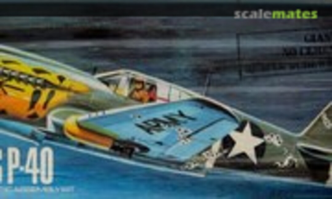 1:27 Curtiss P-40 (Aurora 378)